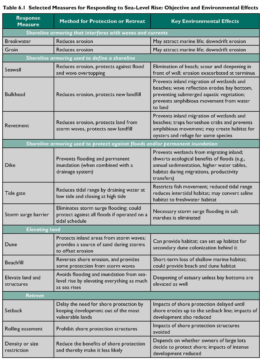 environmental impacts of different responses to sea level rise